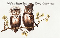 We're from the owl country (1882) chromolithograph art. Original public domain image from Digital Commonwealth. Digitally enhanced by rawpixel.