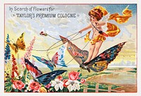 In search of flowers for Taylor's Premium Cologne (1870–1900) chromolithograph art by Walter A. Taylor. Original public domain image from Digital Commonwealth. Digitally enhanced by rawpixel.