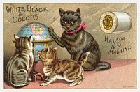 White, black & colors for hand & machine (1870–1900) chromolithograph art. Original public domain image from Digital Commonwealth. Digitally enhanced by rawpixel.