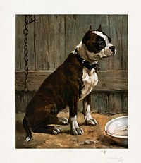 Terrier seated (861–1897) chromolithograph art by Frances Barnard Townsend. Original public domain image from Digital Commonwealth. Digitally enhanced by rawpixel.