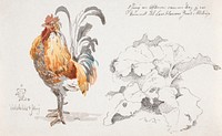 Study magazine with a cock and a cock (1847) watercolor art by Johan Thomas Lundbye. Original public domain image from The Statens Museum for Kunst. Digitally enhanced by rawpixel.