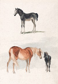 Two Studies: a Foal, and a Mare and Foal (1769&ndash;1844) by Robert Hills. Original public domain image from Yale Center for British Art. Digitally enhanced by rawpixel.