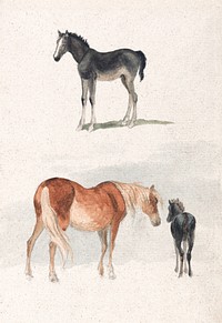 Two Studies: a Foal, and a Mare and Foal (1769–1844) by Robert Hills. Original public domain image from Yale Center for British Art. Digitally enhanced by rawpixel.