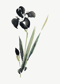 Ukiyo-e Iris flower illustration element, psd. Remixed by rawpixel.