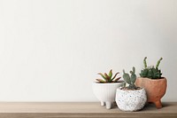 Wall mockup psd with cute cacti on a shelf