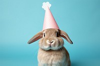 Birthday mammal animal rodent. AI generated Image by rawpixel.