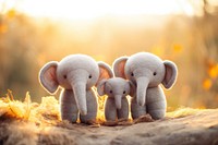 Plush toy wildlife elephant. 