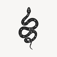 Astral snake, spiritual illustration vector
