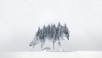 Surreal coyote wolf background, pine forest back remix