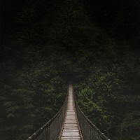 Forest hanging bridge background, nature travel image