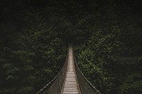 Forest hanging bridge background, nature travel image