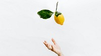 Lemon fruit desktop wallpaper, food image