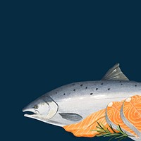 Salmon sashimi fish background, seafood illustration