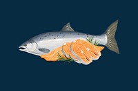 Salmon sashimi fish background, seafood illustration