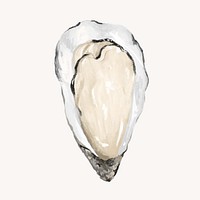 Fresh oyster, seafood illustration