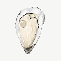 Fresh oyster, seafood collage element  psd
