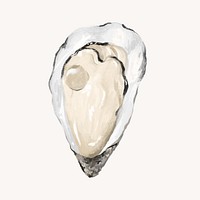 Fresh oyster, seafood illustration