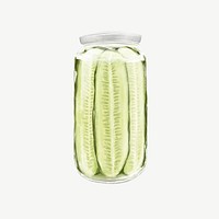 Jar of pickles, vegetable food illustration psd