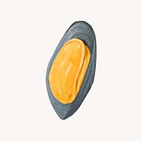 Mussel, shellfish seafood illustration