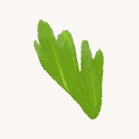 Celery leaf, vegetable illustration