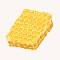 Honeycomb, food illustration