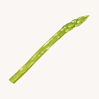 Asparagus, vegetable collage element psd 