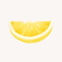 Lemon slice, fruit illustration