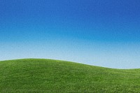 Landscape grass field background, blue gradient sky