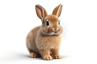 Rodent mammal animal rabbit. AI generated Image by rawpixel.