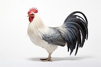 Chicken fowl poultry animal. AI generated Image by rawpixel.