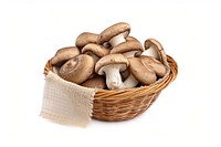 Mushroom basket white background agaricaceae. 