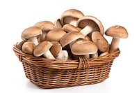 Mushroom basket white background agaricaceae. 