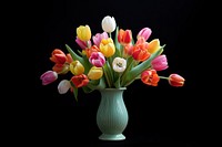 Tulip vase flower plant. 