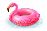 Flamingo bird swimming animal. 