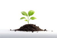 Plant leaf dirt soil. AI generated Image by rawpixel.