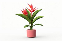 Flower heliconia plant leaf. AI generated Image by rawpixel.
