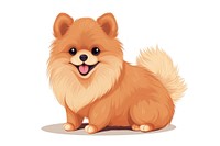 Pomeranian mammal animal dog. 