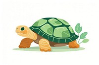 Reptile drawing animal turtle. 