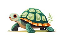 Reptile animal turtle white background. 