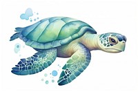 Reptile animal turtle sea. 