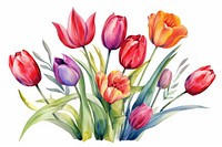 Tulip painting flower plant. 