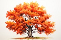 Maple tree plant leaf. AI generated Image by rawpixel.