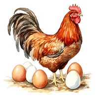 Chicken egg poultry animal. AI generated Image by rawpixel.