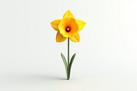 Daffodil flower plant white background. AI generated Image by rawpixel.