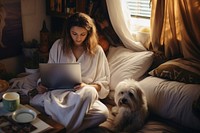 Sitting laptop dog furniture. 