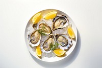 Oyster plate seafood lemon. 