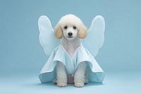 Puppy animal mammal poodle. AI generated Image by rawpixel.