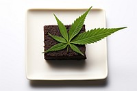 Plate leaf cannabis plant. 