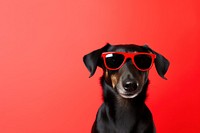 Glasses photography sunglasses portrait. 