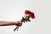 Rose flower plant hand. AI generated Image by rawpixel.